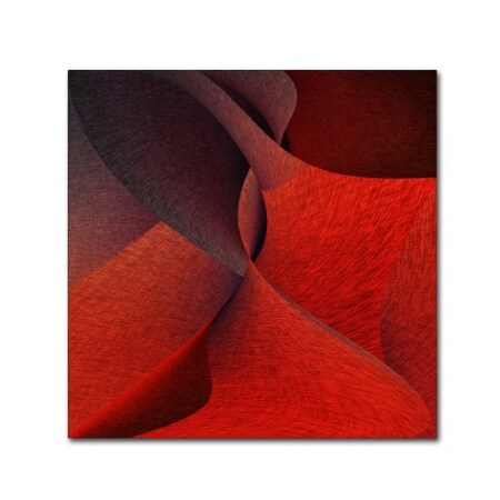 Gilbert Claes 'Yioto' Canvas Art,35x35